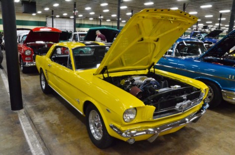 cool-fords-shake-off-the-cabin-fever-in-knoxville-2019-01-15_01-35-06_750764