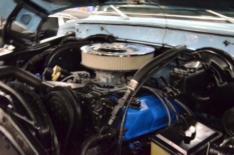 cool-fords-shake-off-the-cabin-fever-in-knoxville-2019-01-15_01-37-56_937367