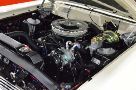 cool-fords-shake-off-the-cabin-fever-in-knoxville-2019-01-15_01-39-56_608517