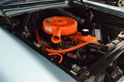 cool-fords-shake-off-the-cabin-fever-in-knoxville-2019-01-15_01-41-29_969182