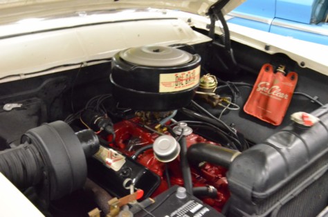 cool-fords-shake-off-the-cabin-fever-in-knoxville-2019-01-15_01-56-24_784832