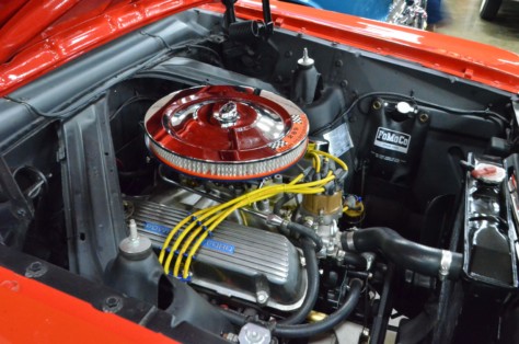 cool-fords-shake-off-the-cabin-fever-in-knoxville-2019-01-15_01-57-43_105345
