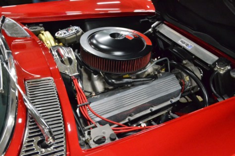 cool-fords-shake-off-the-cabin-fever-in-knoxville-2019-01-15_01-58-11_056540