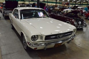 Cool Fords Shake Off The Cabin Fever In Knoxville