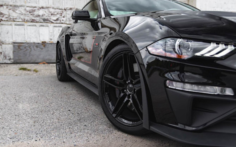 what-factory-tuned-mustang-are-you-dreaming-about-in-2019-2019-01-31_17-59-19_931462
