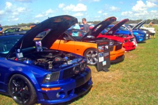 Mustangs Stampede in Lakeland, FL for the Winter Autofest