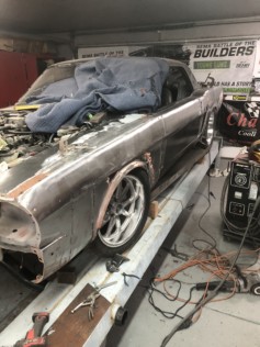 straight-razor-a-sema-young-guns-crossbreed-2019-03-26_18-09-17_806566