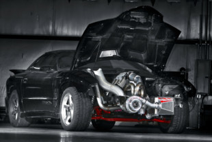 The 10 Year Challenge - The Return Of Project SALT WS6