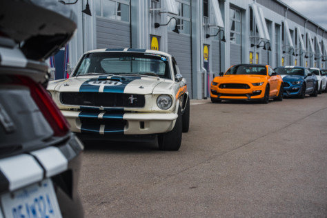 driven-2019-ford-mustang-gt350-2019-05-15_22-53-40_381774