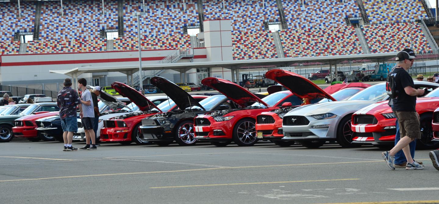 Over 100 Photos from the Mustang Owner