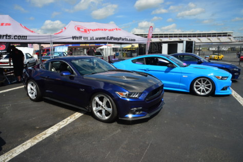 mustang-owners-museum-opens-2019-05-16_16-54-30_302573