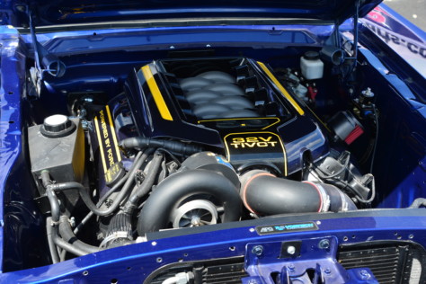 mustang-owners-museum-opens-2019-05-16_16-54-41_577698