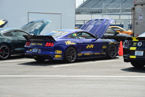 mustang-owners-museum-opens-2019-05-16_16-59-03_886844