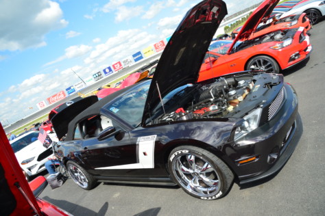 mustang-owners-museum-opens-2019-05-16_17-01-46_341977