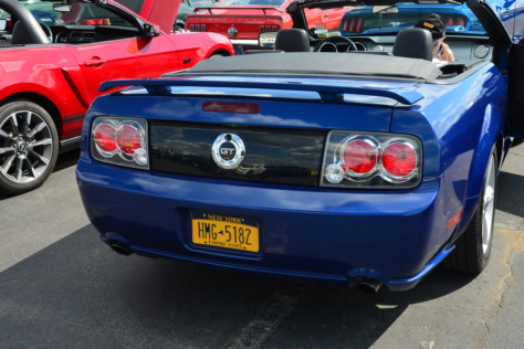mustang-owners-museum-opens-2019-05-16_17-02-08_032730