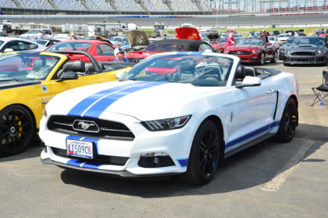 mustang-owners-museum-opens-2019-05-16_17-02-19_019670