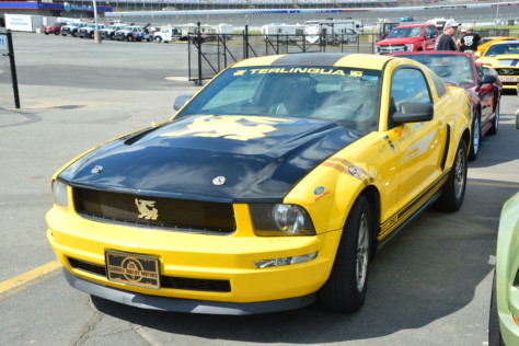mustang-owners-museum-opens-2019-05-16_17-03-03_177923