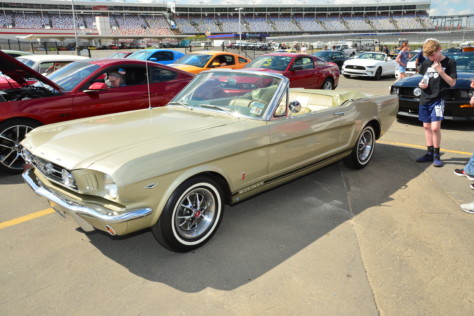 mustang-owners-museum-opens-2019-05-16_17-03-26_060058