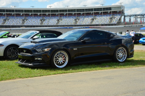 mustang-owners-museum-opens-2019-05-16_17-04-43_735930