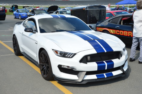 mustang-owners-museum-opens-2019-05-16_17-05-30_147525