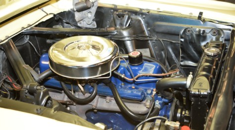 mustang-owners-museum-opens-2019-05-16_17-10-28_248528