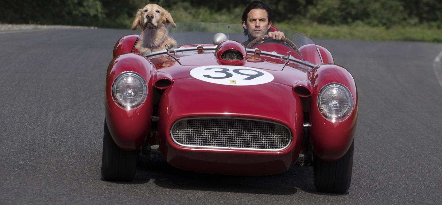 Movie Review: The Art Of Racing In The Rain 