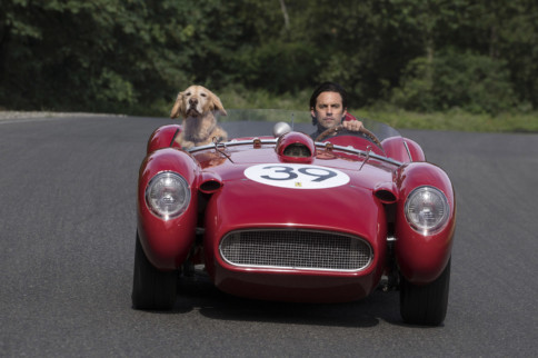 Movie Review: The Art Of Racing In The Rain 