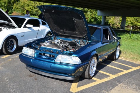 mustangs-outrun-hurricane-dorian-and-head-to-the-mountains-2019-09-15_21-18-38_095761