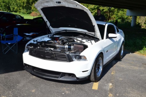 mustangs-outrun-hurricane-dorian-and-head-to-the-mountains-2019-09-15_21-19-12_350371