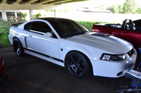 mustangs-outrun-hurricane-dorian-and-head-to-the-mountains-2019-09-15_21-19-36_643378
