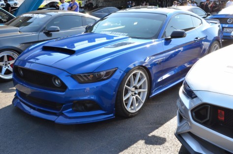 mustangs-outrun-hurricane-dorian-and-head-to-the-mountains-2019-09-15_21-21-49_918772