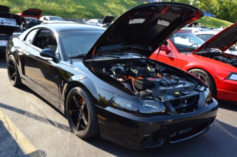 mustangs-outrun-hurricane-dorian-and-head-to-the-mountains-2019-09-15_21-22-54_298960