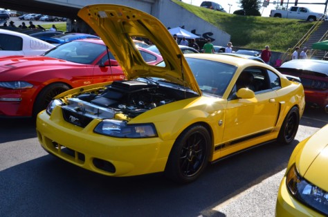 mustangs-outrun-hurricane-dorian-and-head-to-the-mountains-2019-09-15_21-23-23_171996