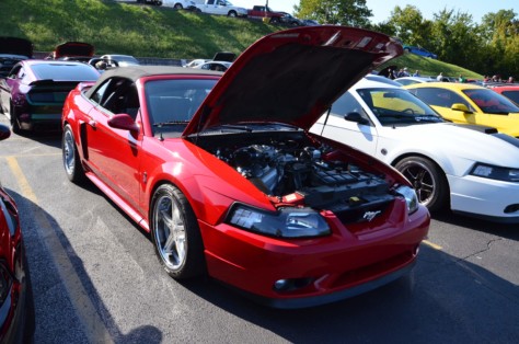 mustangs-outrun-hurricane-dorian-and-head-to-the-mountains-2019-09-15_21-23-57_321613