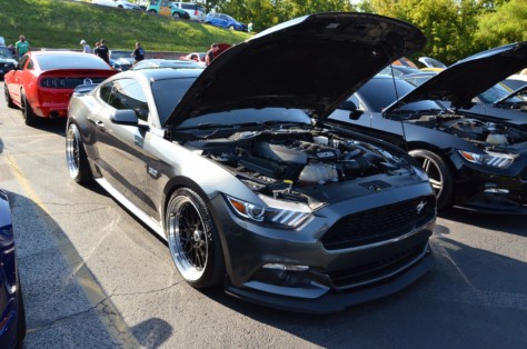 mustangs-outrun-hurricane-dorian-and-head-to-the-mountains-2019-09-15_21-26-11_404683