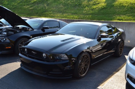 mustangs-outrun-hurricane-dorian-and-head-to-the-mountains-2019-09-15_21-29-27_658412