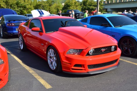 mustangs-outrun-hurricane-dorian-and-head-to-the-mountains-2019-09-15_21-30-40_256589