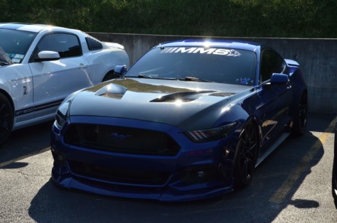 mustangs-outrun-hurricane-dorian-and-head-to-the-mountains-2019-09-15_21-31-34_748745