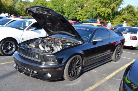 mustangs-outrun-hurricane-dorian-and-head-to-the-mountains-2019-09-15_21-40-34_879368