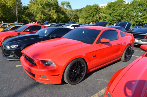 mustangs-outrun-hurricane-dorian-and-head-to-the-mountains-2019-09-15_21-42-23_013446