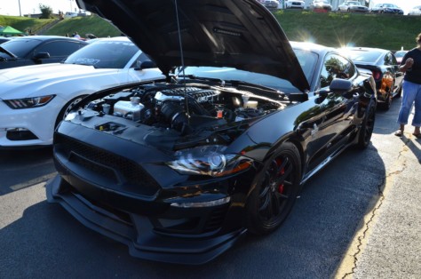 mustangs-outrun-hurricane-dorian-and-head-to-the-mountains-2019-09-15_21-45-10_536826