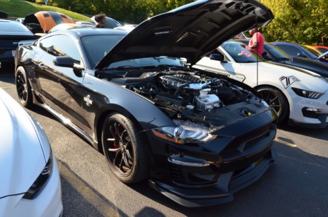 mustangs-outrun-hurricane-dorian-and-head-to-the-mountains-2019-09-15_21-46-34_459069