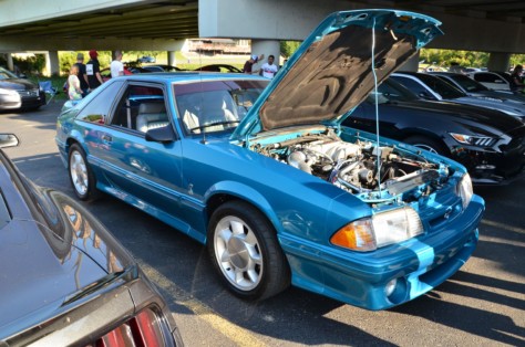 mustangs-outrun-hurricane-dorian-and-head-to-the-mountains-2019-09-15_21-47-37_757495