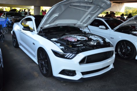 mustangs-outrun-hurricane-dorian-and-head-to-the-mountains-2019-09-15_21-48-03_325180