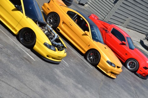 mustangs-outrun-hurricane-dorian-and-head-to-the-mountains-2019-09-15_22-11-19_781378