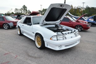 Our Top Ten From Foxtoberfest 2019