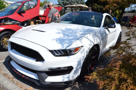 we-go-ford-bargain-shopping-rod-run-style-2019-10-16_00-00-49_090386