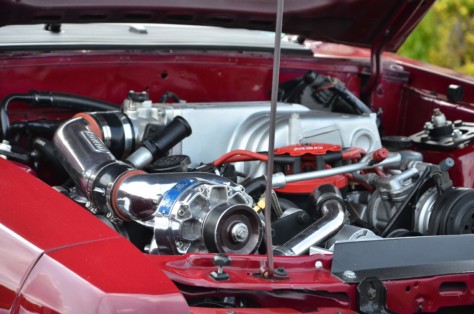 we-go-ford-bargain-shopping-rod-run-style-2019-10-16_00-14-51_366068