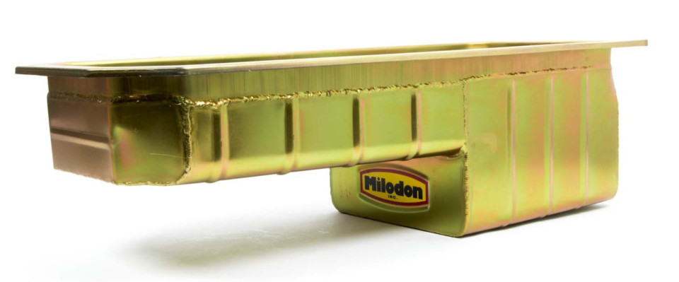 Milodon