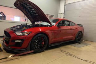 Brenspeed's 2020 Shelby GT500 vs Whipple-Blown GT350 Dyno Battle!